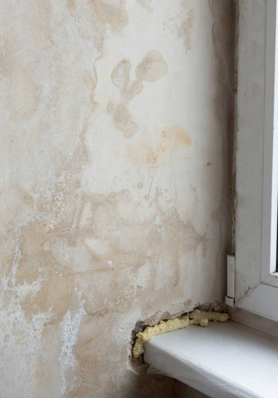 DampWindow Damp Window
